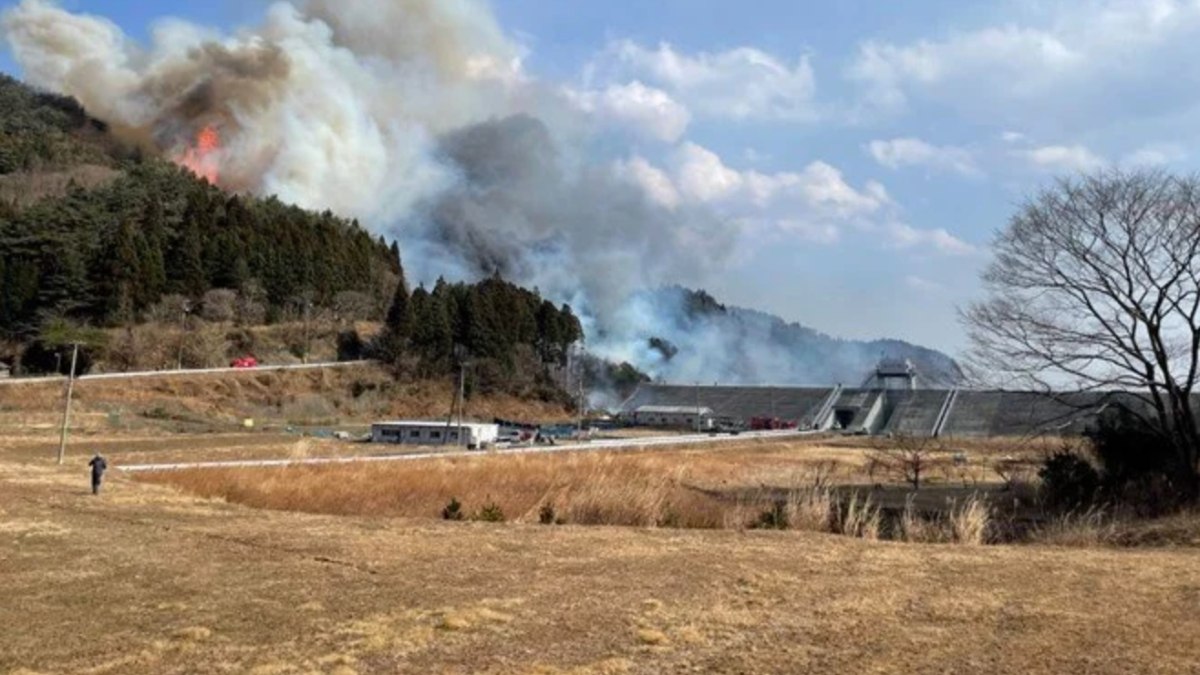 Japonya’da orman yangını:  2 bin kişiye tahliye uyarısı