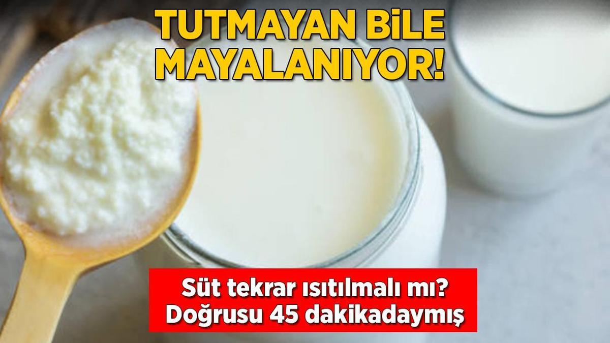 Tutmayan bile mayalanıyor! Süt tekrar ısıtılmalı mı? Doğrusu 45 dakikadaymış