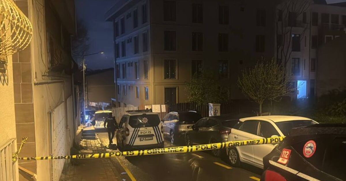 Bir kişiyi yaralayıp polise saldırdı